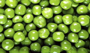 Peas are taking over the world – video