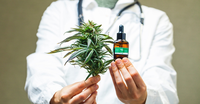 CBD and the 2018 Farm Bill—the legal status of CBD supplements.jpg CBD and the 2018 Farm Bill—the legal status of CBD supplements.jpg