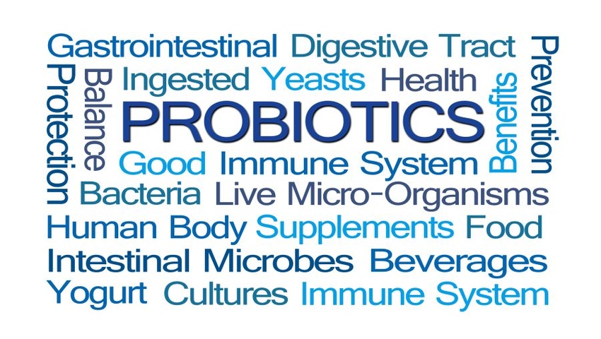 Bacillus Probiotics for Health and Wellbeing Bacillus Probiotics for Health and Wellbeing