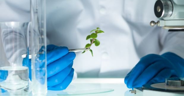 Botanical Authentication Quality and Authentication of Botanical Materials