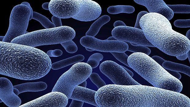 Slide Show: Prebiotics in Nutrition Slide Show: Prebiotics in Nutrition