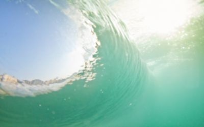 Marine Ingredients: The Next Wave in Innovation Marine Ingredients: The Next Wave in Innovation