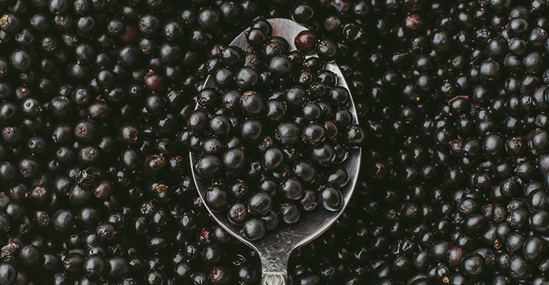 elderberry-spoon.jpg