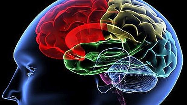 Advances in Brain Health Research