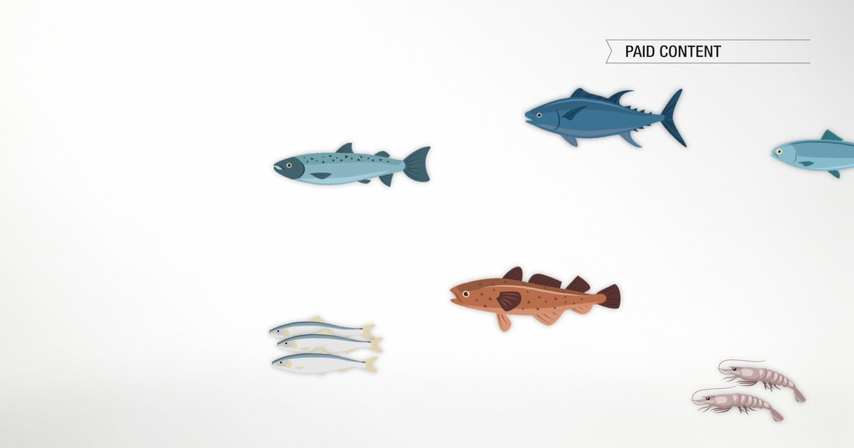 MaxSimil patented fish oil.