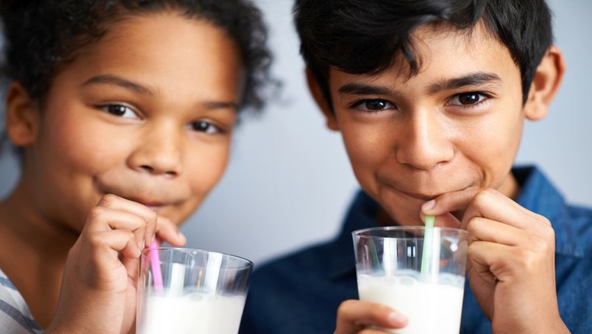 The Scope of Fortifying Dairy Products