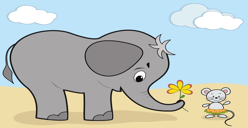 Elephant mouse.jpg Elephant mouse.jpg