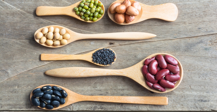 Plant-Based Protein Market Drivers, Innovation Plant-Based Protein Market Drivers, Innovation