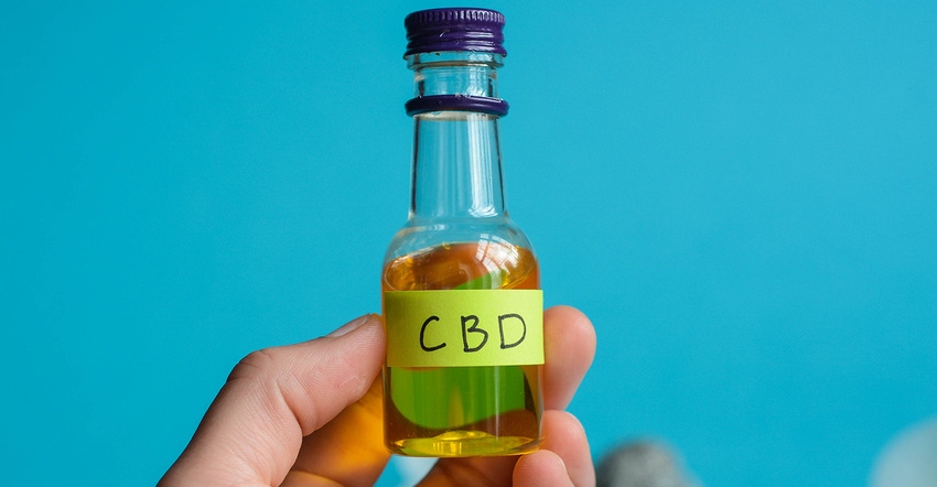 Innovating with CBD in beverage applications.jpg