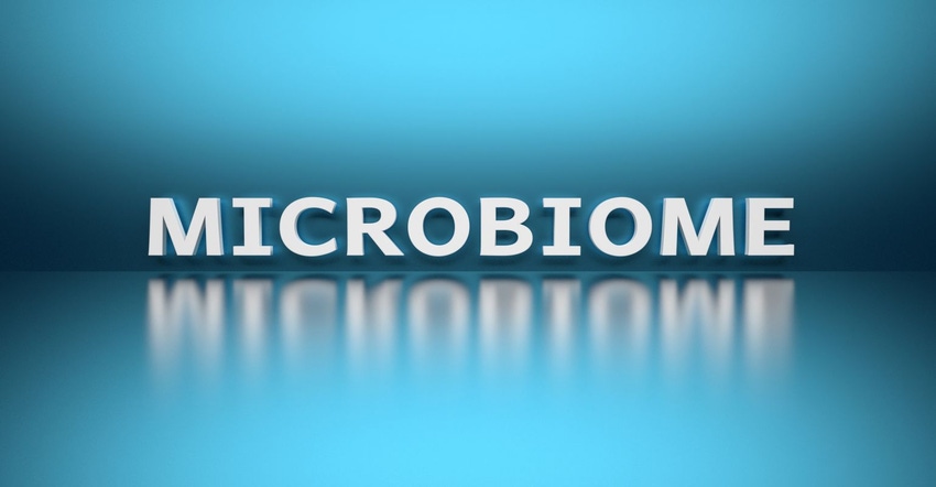 microbiome_0.jpg