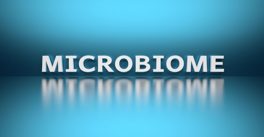 microbiome_0.jpg microbiome_0.jpg