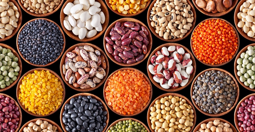 2018 Plant-Based Protein Market