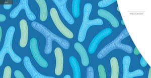 Go with the gut: Products for microbiome balance link to overall health