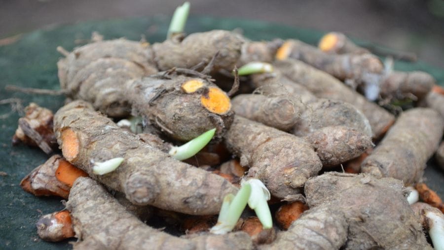 Botanical Raw Material Qualification