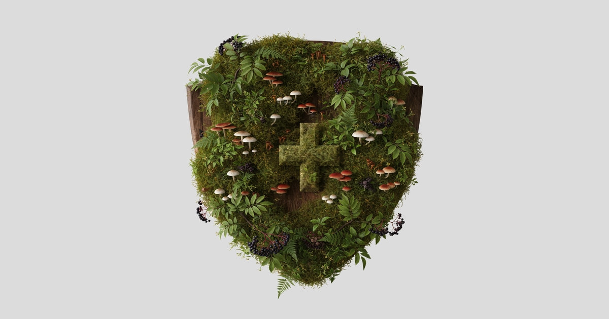 Immune evolution: Forming a new foundation – digital magazine