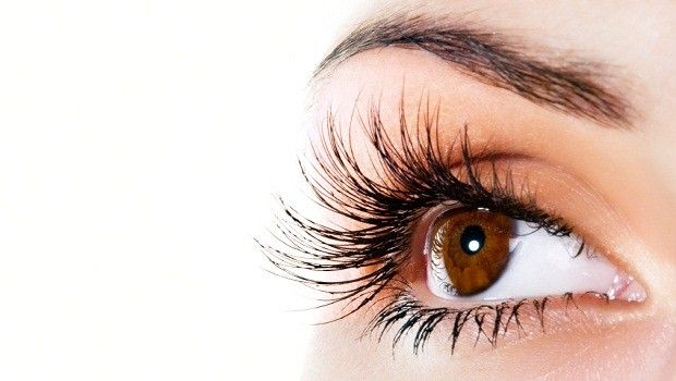 The Three Macular Carotenoids