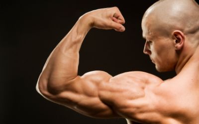 Protein Powers: New Product Innovation Protein Powers: New Product Innovation