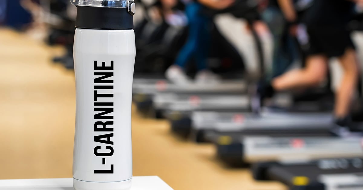 l carnitine muscle soreness L-carnitine fuels muscle recovery and repair