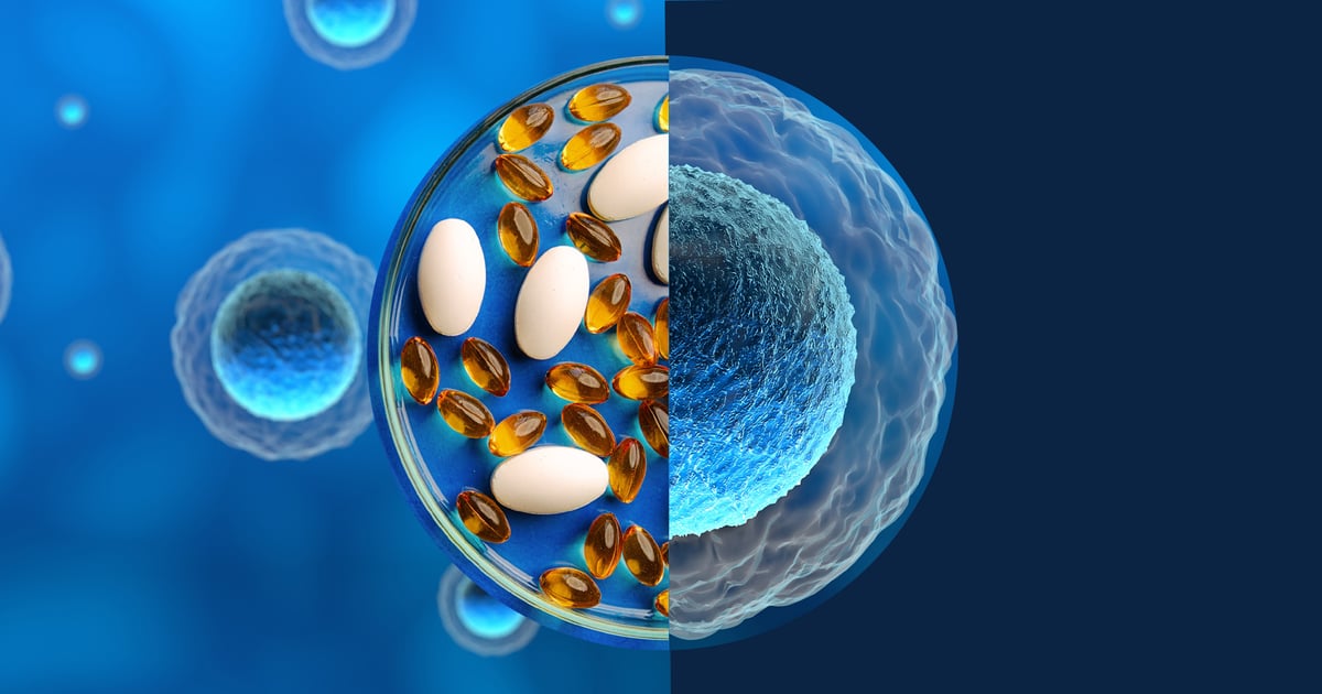 Healthy aging at the cellular level