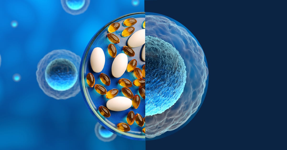 Healthy aging at the cellular level