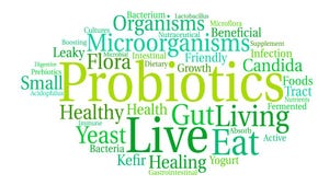 Probiotics Innovation Demands Effective, Strategic Messaging