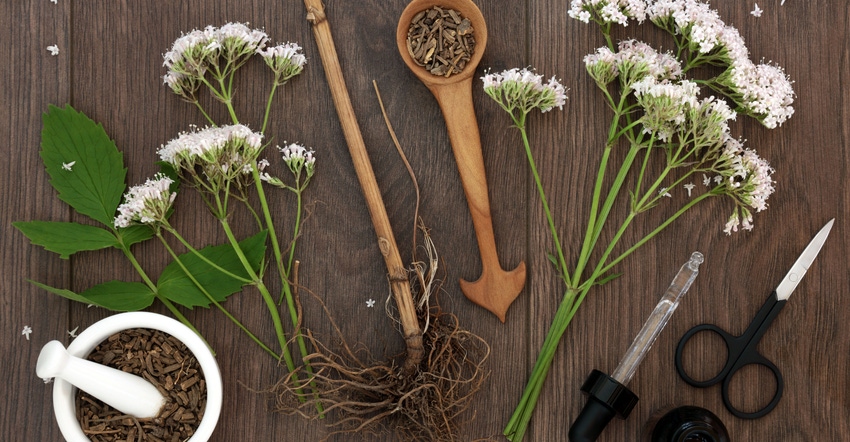 Stress in America and possible botanical solutions Stress in America and possible botanical solutions