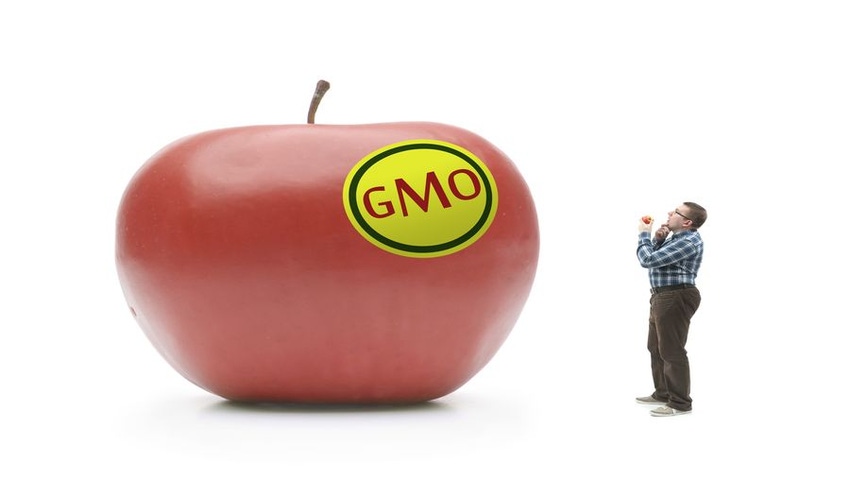 Defining GMOs for the Upcoming Disclosure Regulations