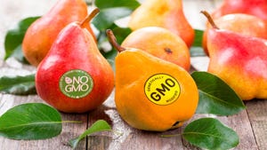 Transparency Trumps Technology in the Global GMO Debate
