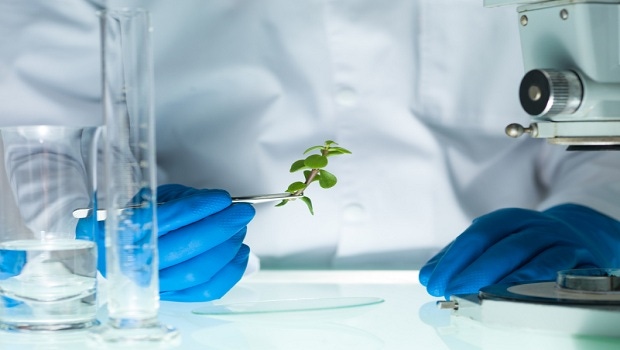 Studies on Curcumin, Vitamin D & Other Ingredients Reveal Numerous Industry Advancements Studies on Curcumin, Vitamin D & Other Ingredients Reveal Numerous Industry Advancements