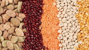 UN declares 2016 the year of pulses