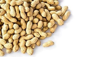 Slide Show: The Power of Peanuts to Reduce Malnutrition in Africa
