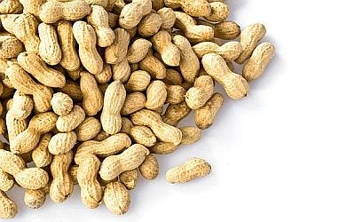 Slide Show: The Power of Peanuts to Reduce Malnutrition in Africa