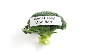Healthy INSIDER Podcast 25: Proposed Labelling Act Disappears GMOs