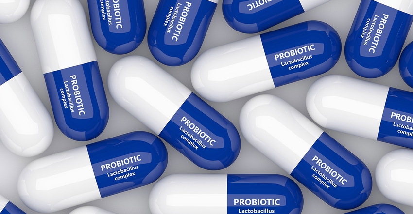 Probiotic research and product diversity drive market.jpg