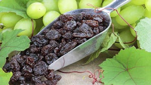 Supreme Court: Government Cant Take Farmers Raisins Without Just Compensation