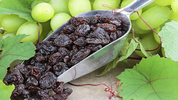 Supreme Court: Government Cant Take Farmers Raisins Without Just Compensation