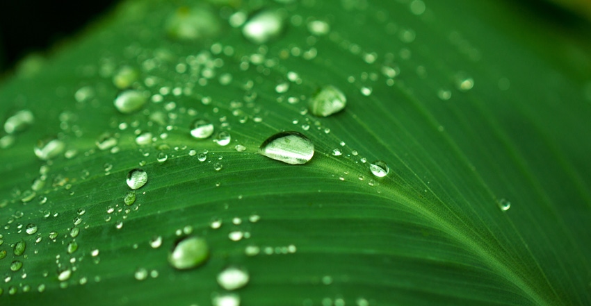 Plant-based hydration and clean energy Plant-based hydration and clean energy
