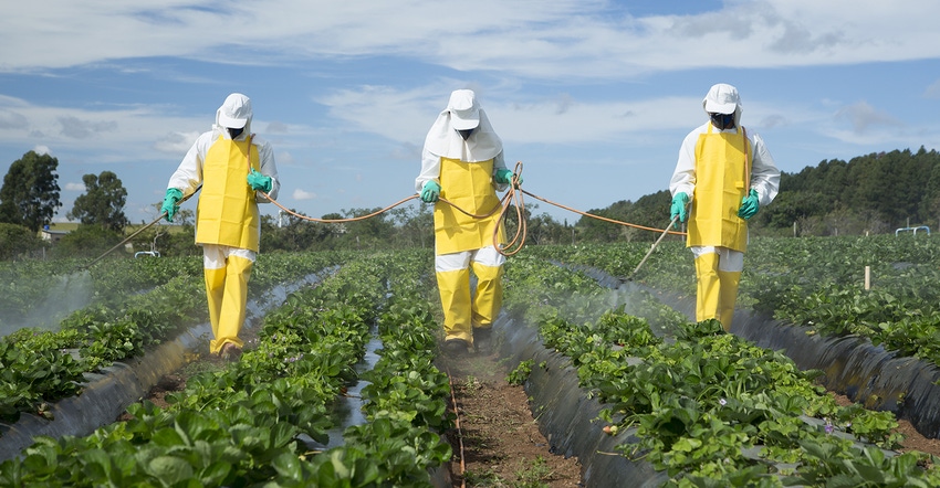 Pesticide testing What's the best way.jpg