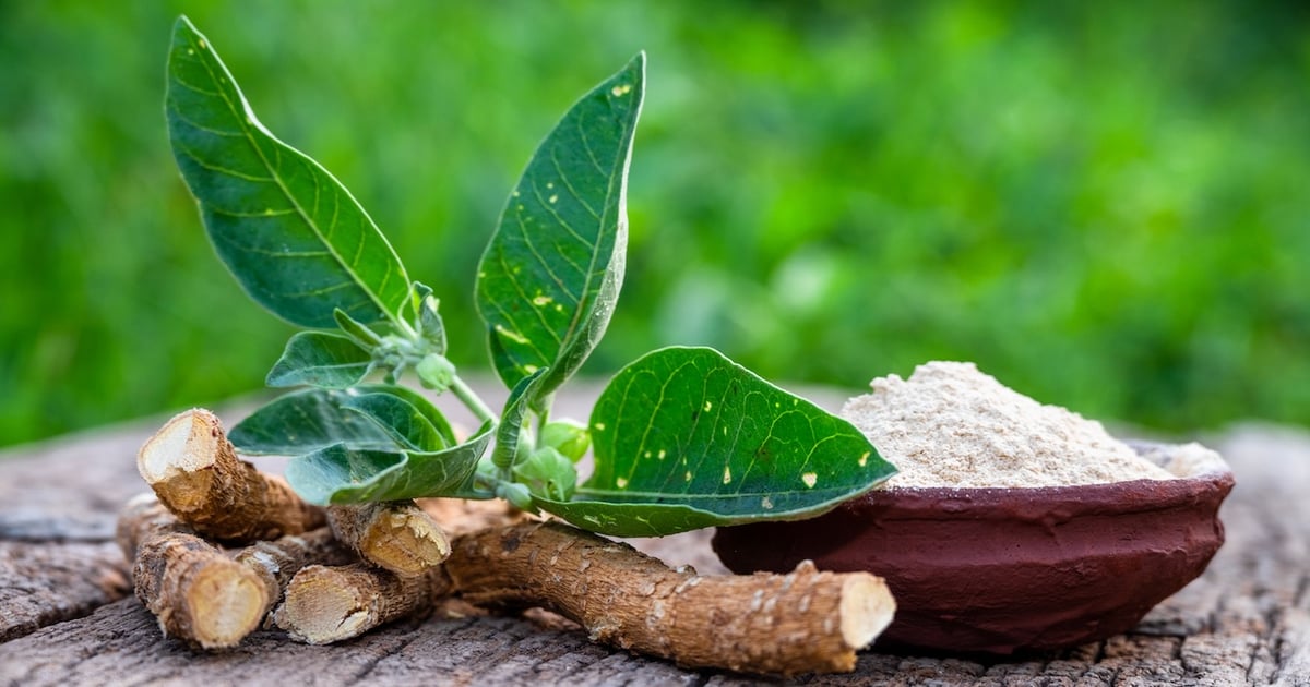 Study confirms safety of ashwangandha root and leaf combo