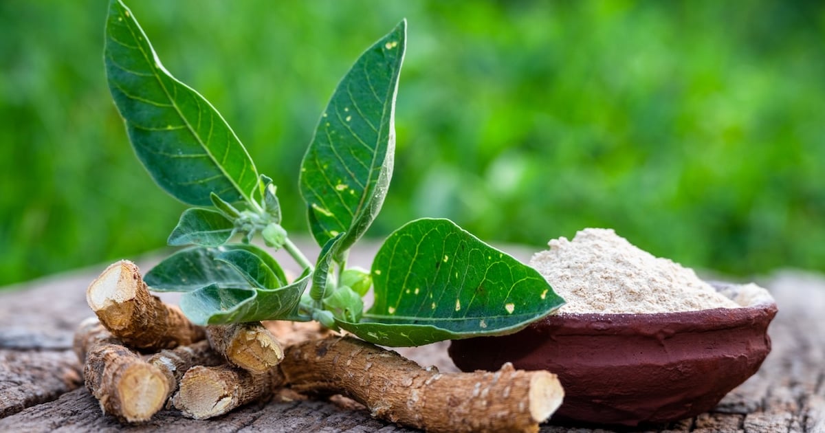 Study confirms safety of ashwangandha root and leaf combo