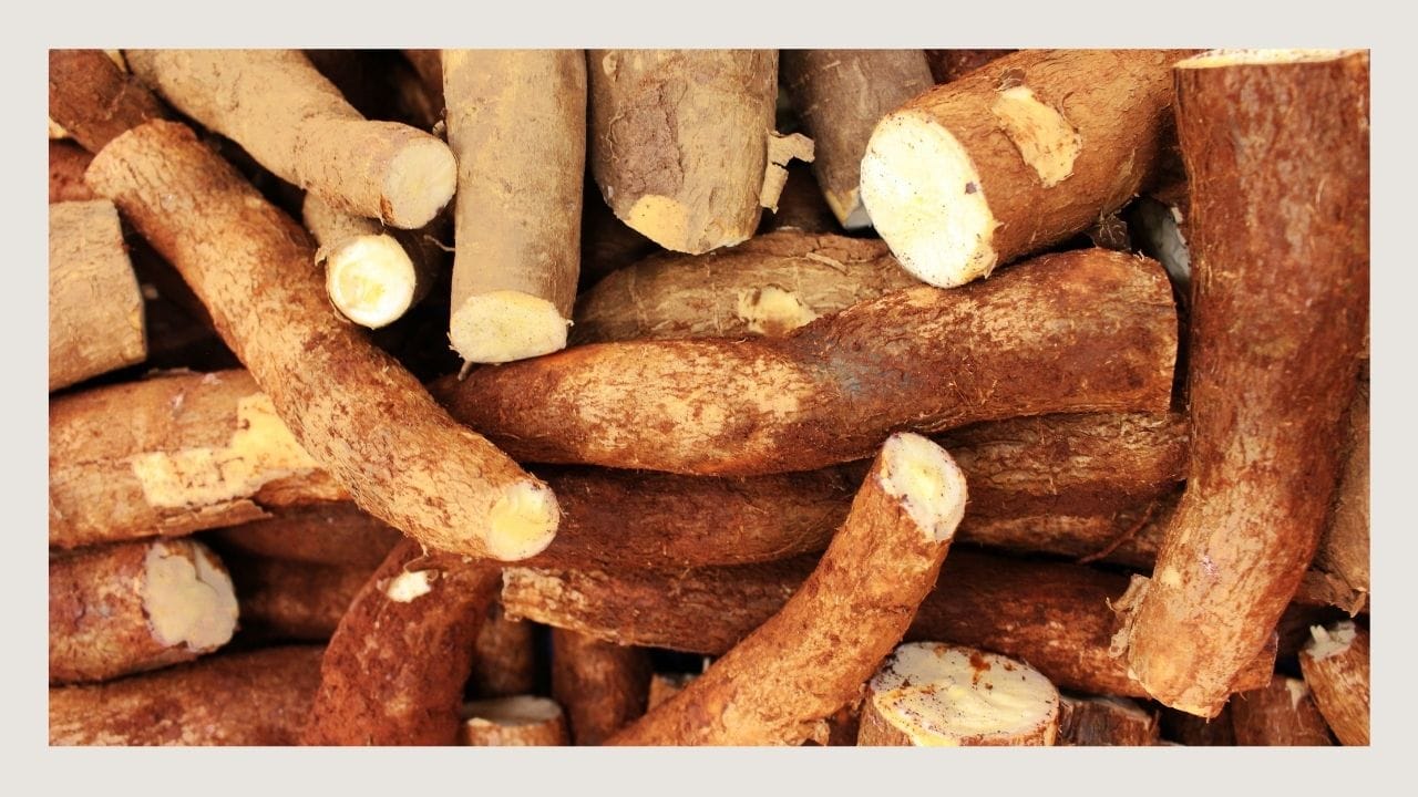 Ashwagandha regulation around the world: FAQ