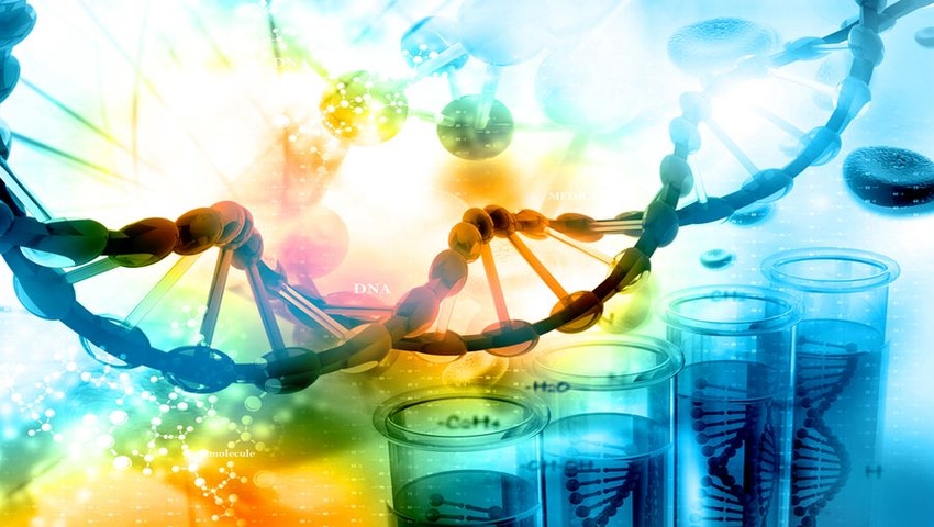 DNA Testing Methods Create Challenges for Supplements Industry Post-NYAG Investigation DNA Testing Methods Create Challenges for Supplements Industry Post-NYAG Investigation