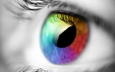 NIH Releases Long-Awaited Eye Health Study NIH Releases Long-Awaited Eye Health Study