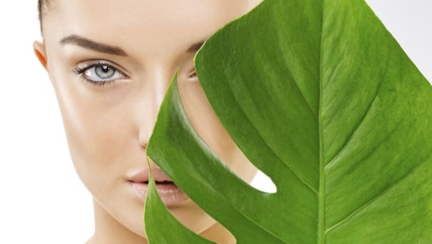 Ageless Skin Care Ingredients