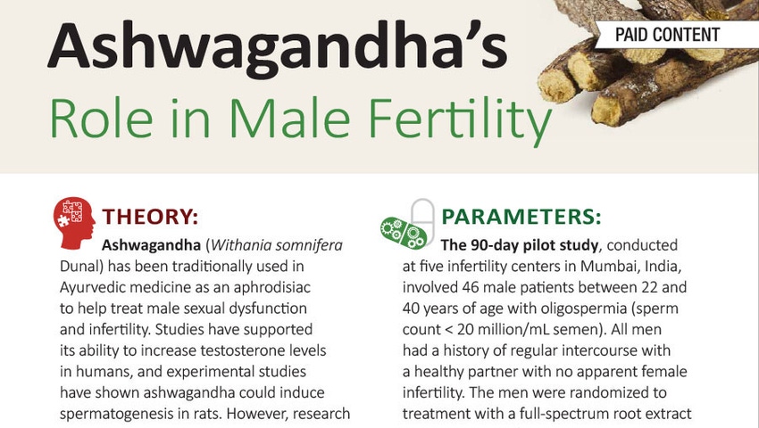 Ashwagandha's Role in Male Fertility- Infographic