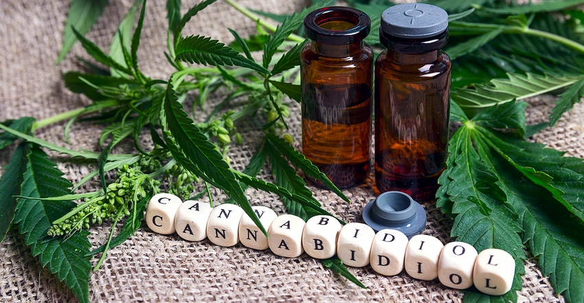 CBD players must differentiate themselves in evolving market.jpg