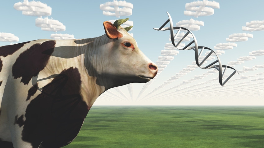 dairy science for web.jpg