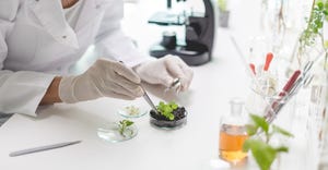 FDA’s thinking on dietary ingredient status could hinder biotechnology advancements.jpg