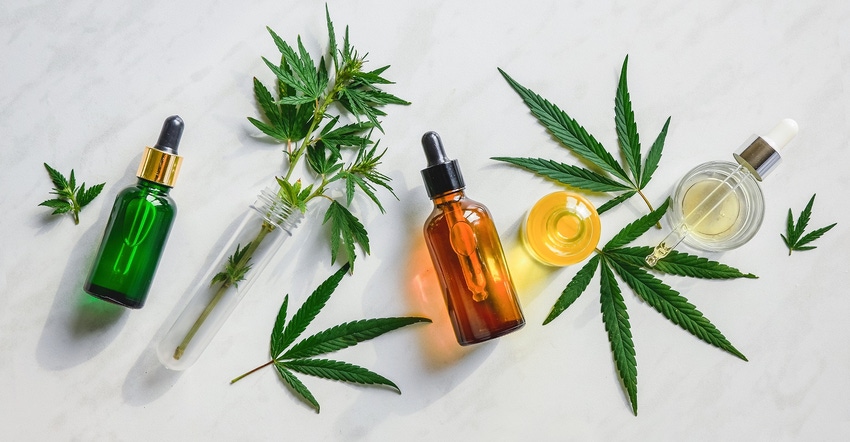 CBD science CBD science