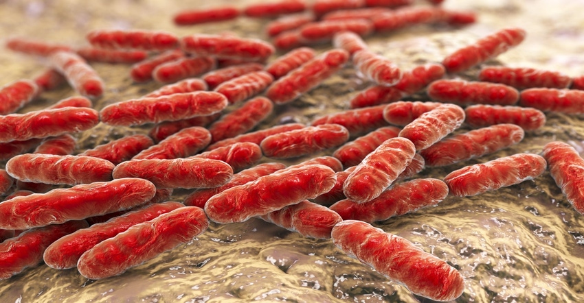Utilizing inhibition assays to determine probiotic stability